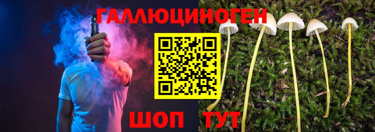 Шебекино  Галлюциногенные грибы Psilocybe  Вход с VPN 